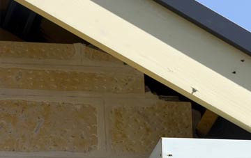 soffit repair Dobwalls